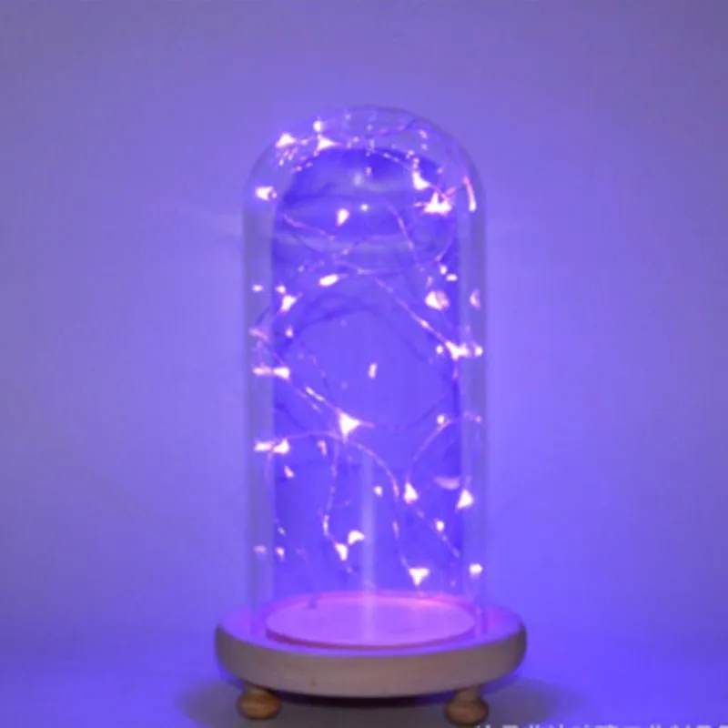 Glass Dome With Led Lights And Remote Control Buy Led String Lights