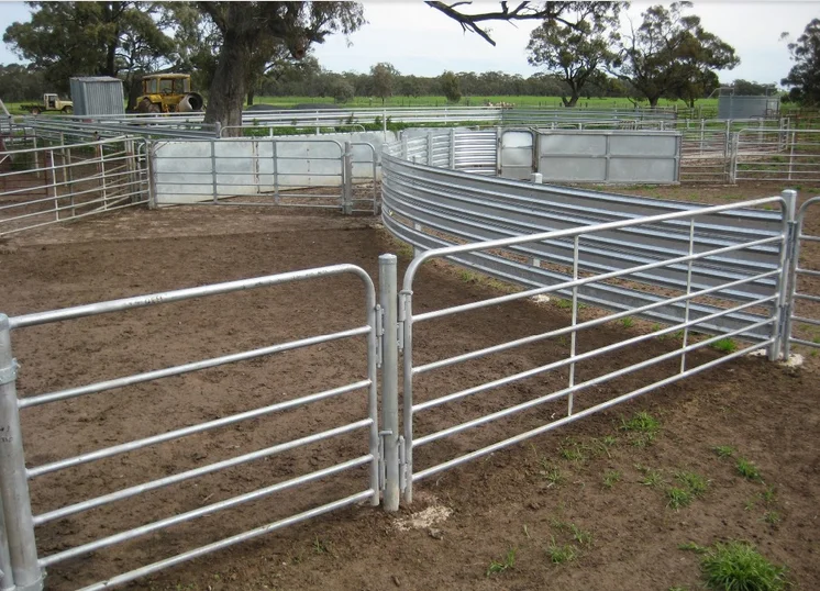 High Quality Standard Galvanized Cattle Yard Panels - Buy Cattle ...