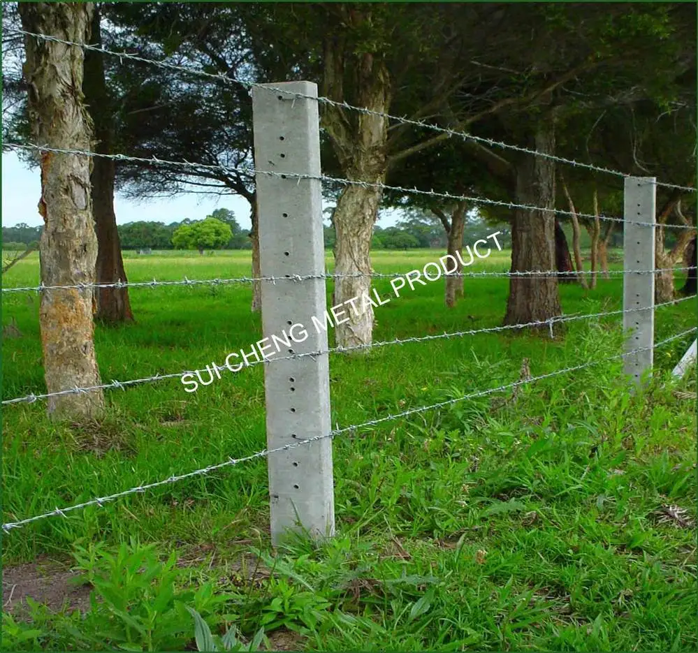 guangzhou factory free sample secure barbed fence wire