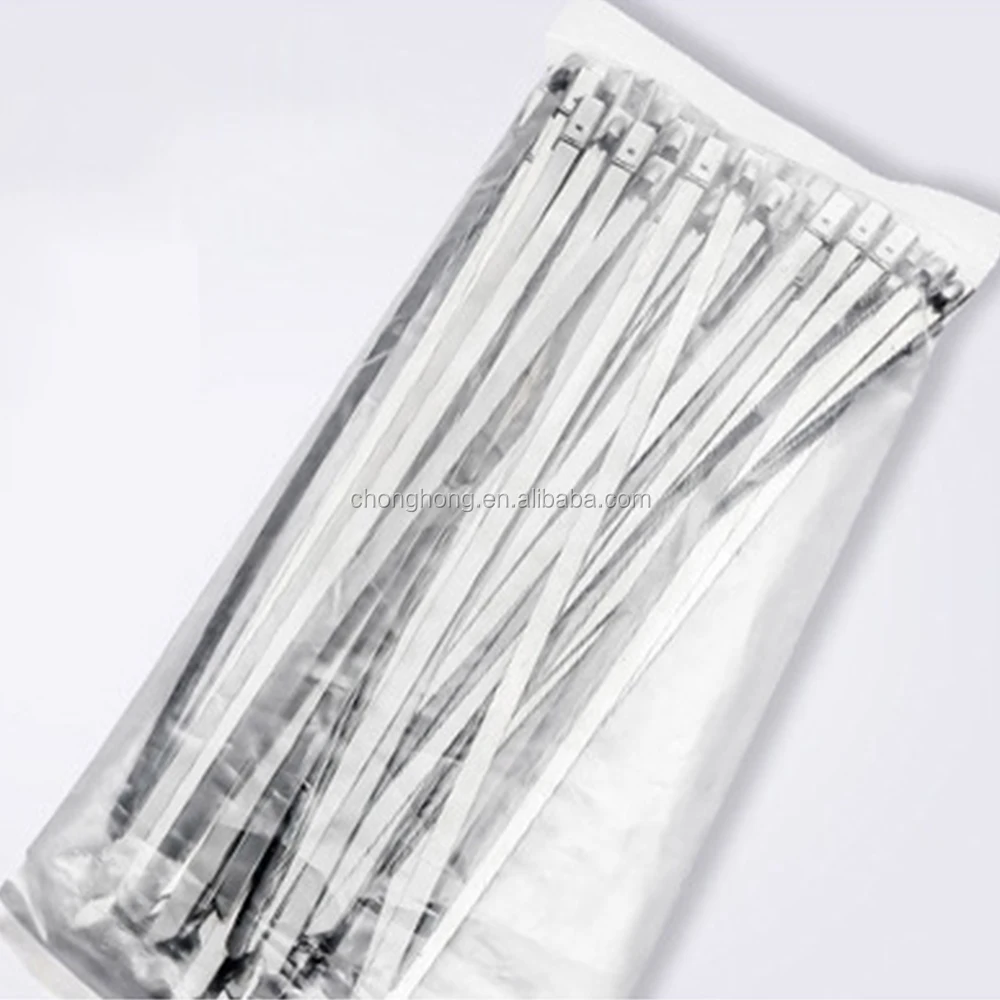 SS-Cable Tie (3)