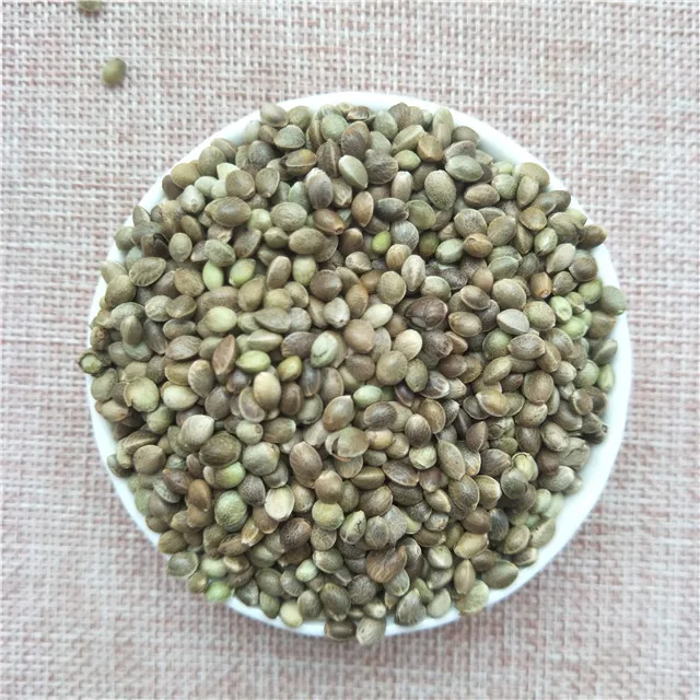 Huo Ma Ren High Germination F1 Hybrid Chinese Natural Hemp Seeds For