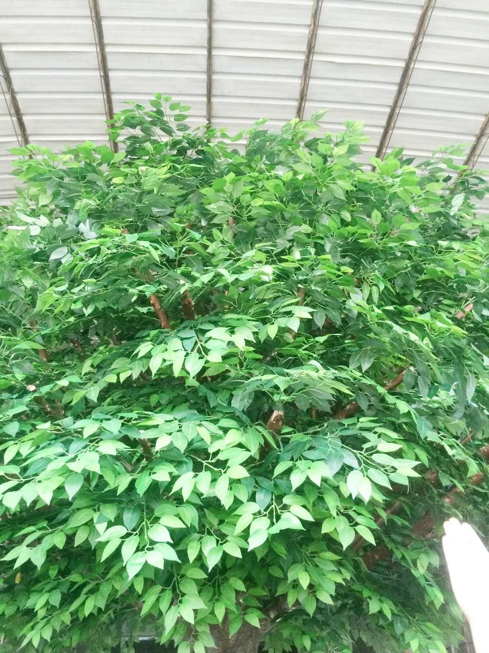 cheap price fake ficus tree good quality artificial banyan ficus