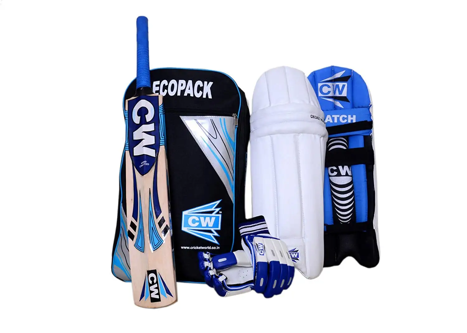 beach cricket set target