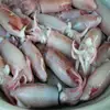 delicious frozen baby squid with whole round for sale