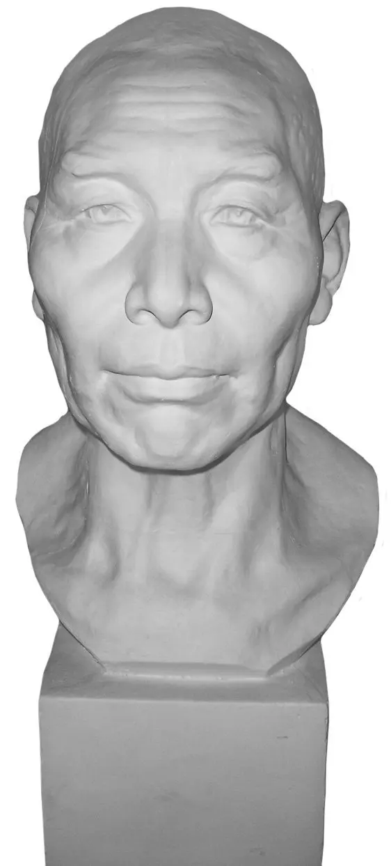 Torino GES-93 Life Size Bust Aging Man Plaster Cast Mannequin, Great for Artists, Artistic piece, Color: White, Size: 9" X 7" X 23"