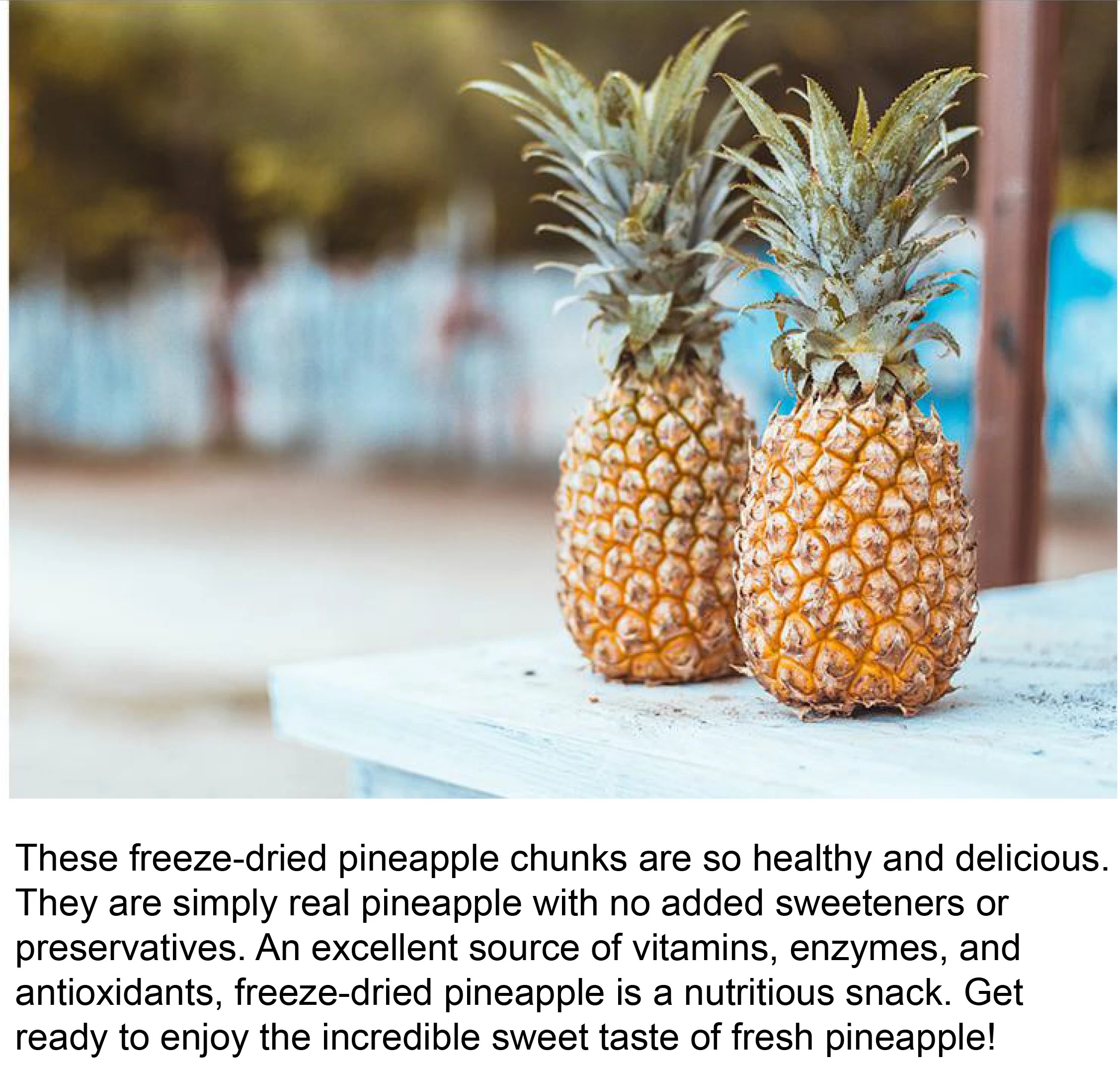 freeze dried pineapple chips food bulk dried pineapple for sale