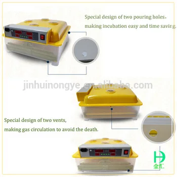 delayed chicken egg hatching incubator