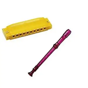 My First Recorder / Harmonica Pack -BPA FREE Purple Translucent Recorder w/Yellow Hohner Harmonica