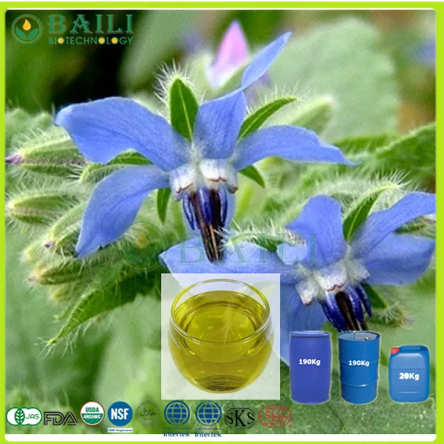 high quality borage oil contain high amounts of gla linolenic