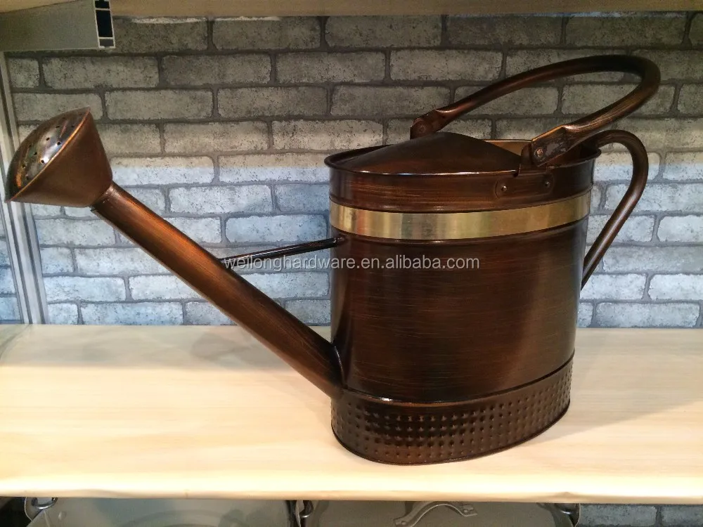 5l Oval Galvanized Metal Watering Can With Brass Rose Buy Decorative