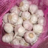 /product-detail/new-crop-garlic-price-in-china-shandong-jining-laiwu-garlic-pakistan-60769084829.html