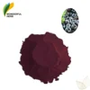 Bilberry plants for sale fruit juice extract Anthocyanidins powder vaccinium myrtillus