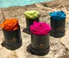 Custom logo luxury paper single flower rose box, wholesale one rose box packaging rose box
