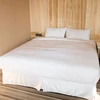 Professional Manufacture Hospital Bedsheet Fitted Sheet with All Sizes and Spec.