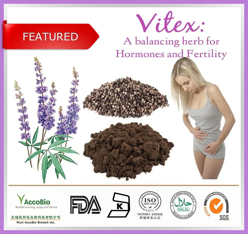 High Quality Vitex Agnus Castus 100 Natural Extract High Quality Vitex Agnus Castus 100 Natural Extract Chasteberry