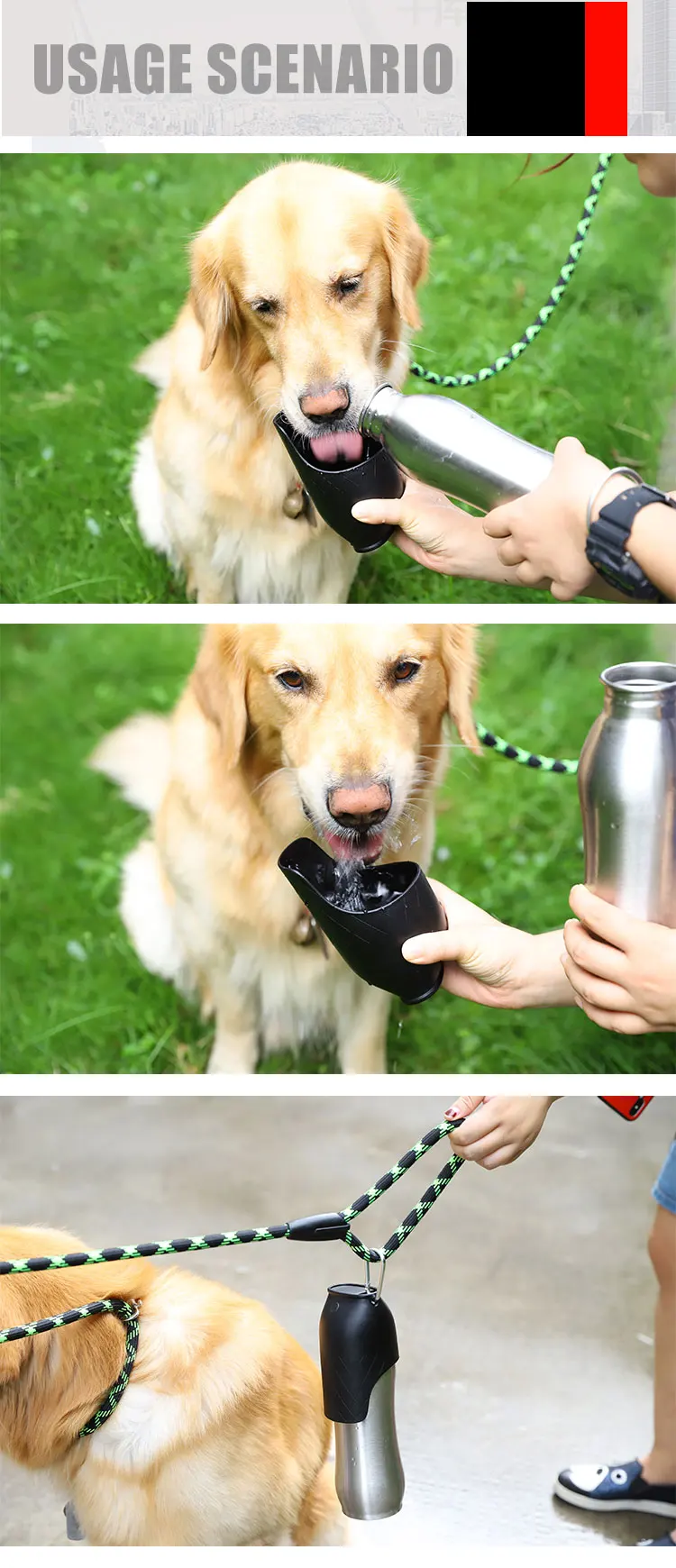 Detachable Buckle Dog Travel Water Bottle