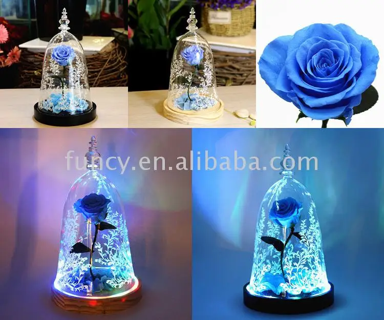 Best Valentines Day Gift Preserved Flower Beauty And The Beast