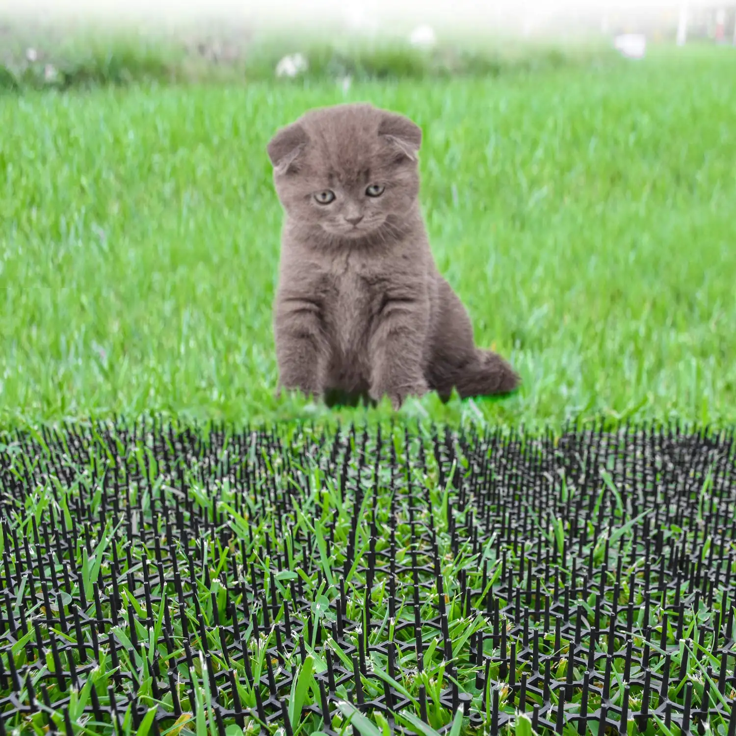 Plastic Cat Spike Mat Ecofriendly Anti Climb Strip Cat Animal Trap