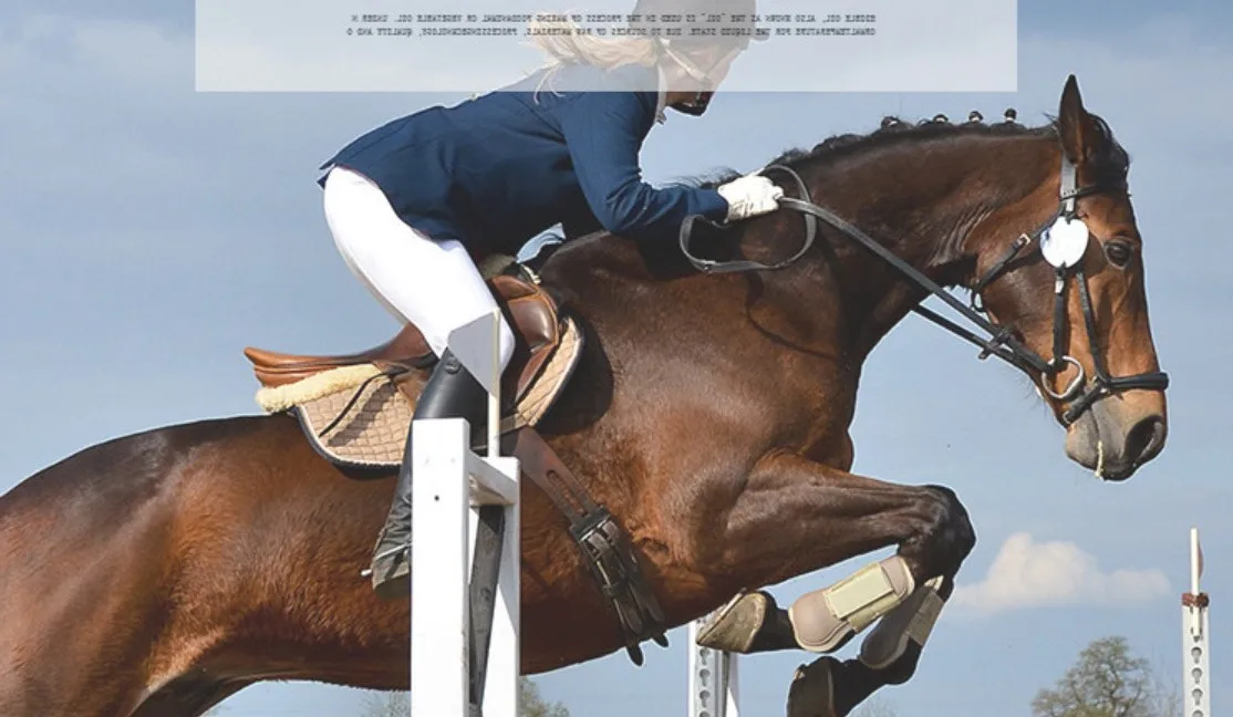 Stainless Steel Horse Harness Buckles Buy Harness Buckles,Horse