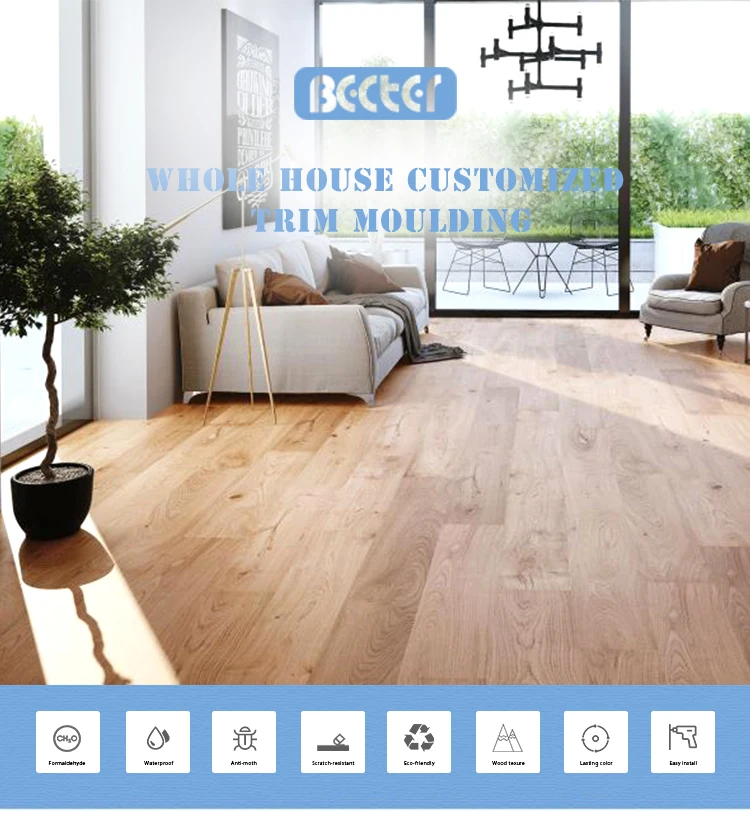 BC-R45_01