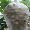 China factory supply high quality 100% PP nonwoven fabric bag with customized size for fruit protection