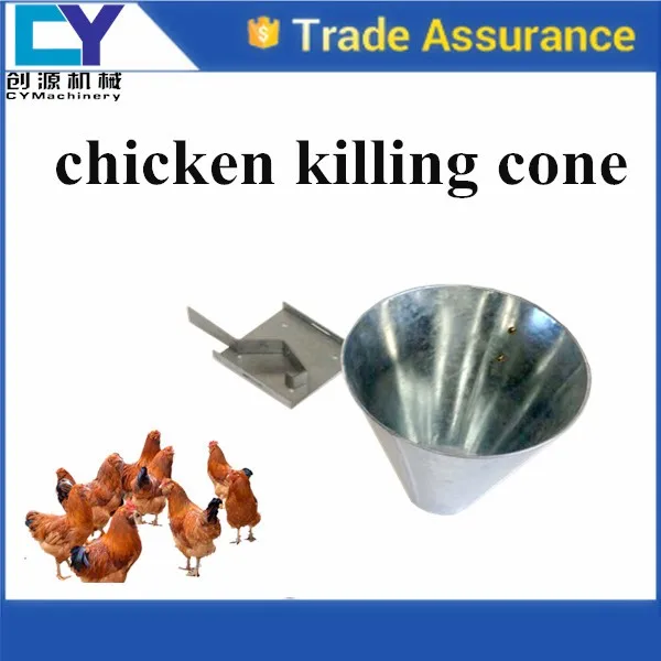 chicken cone.jpg