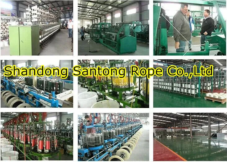 Double Braid Nylon dock line manufacturer, factory, with high quality