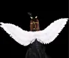 Wholesale fashional fancy Children white feather angel wings