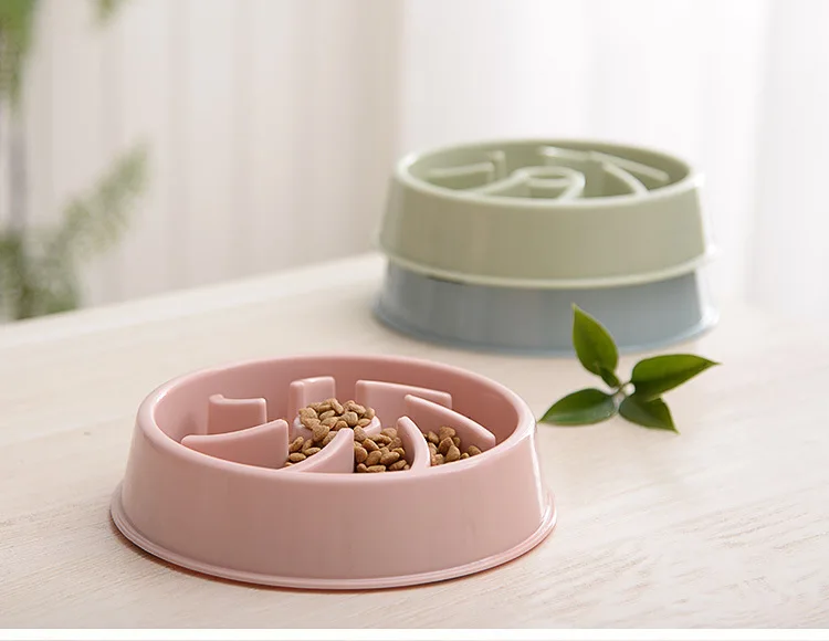 pet bowl (8).jpg