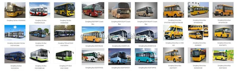 Bus.jpg