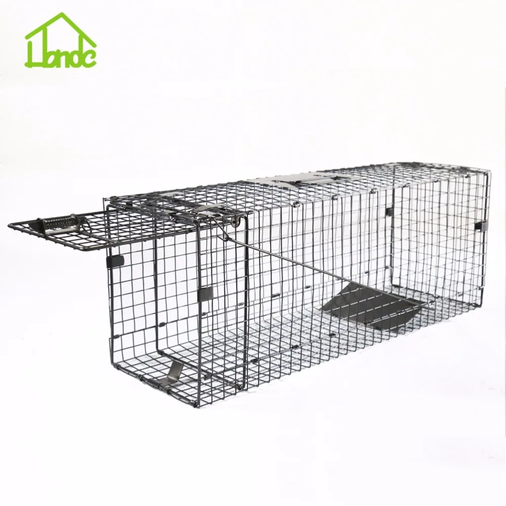 Metal Bird Cage Trap Bird Trap - Buy Bird Trap,Metal Bird Trap Cage ...