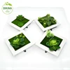 DIY real touch plastic flower with different styles small & big size Succulent display artificial plant islamic wall frame