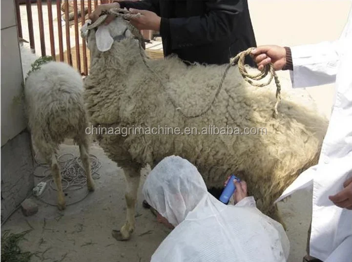 Animal Pregnancy Test Kit Sow Pregnancy Test For Goat Buy Animal