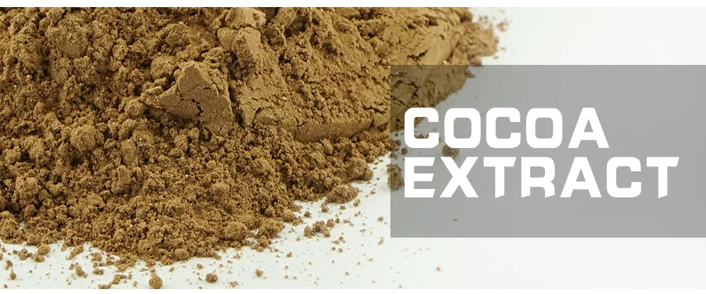 Chocolate is extracted from the. Chocolate is extracted from the