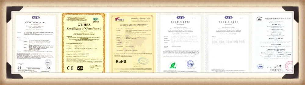 Black High Fashional Big Power Hair Dryer ZF-8838