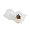Custom factory price clamshell 2 pack disposable cake plastic box , cake slice packaging