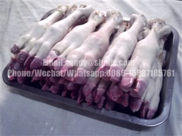 Sheep Feet Cattle Feet Pig Feet Dehairer Buy Sheep Feet Cattle Feet 