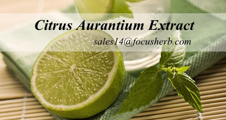 citrusaurantium的简单介绍