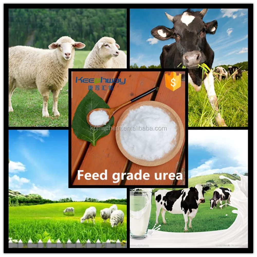 Animal Poultry Feed Urea Used As A Ruminant Protein Supplement