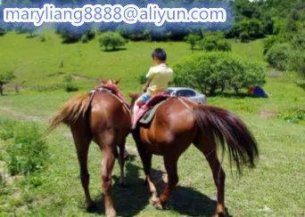 ]3$UVBG~WZXXZX7I~Z9X_~S_