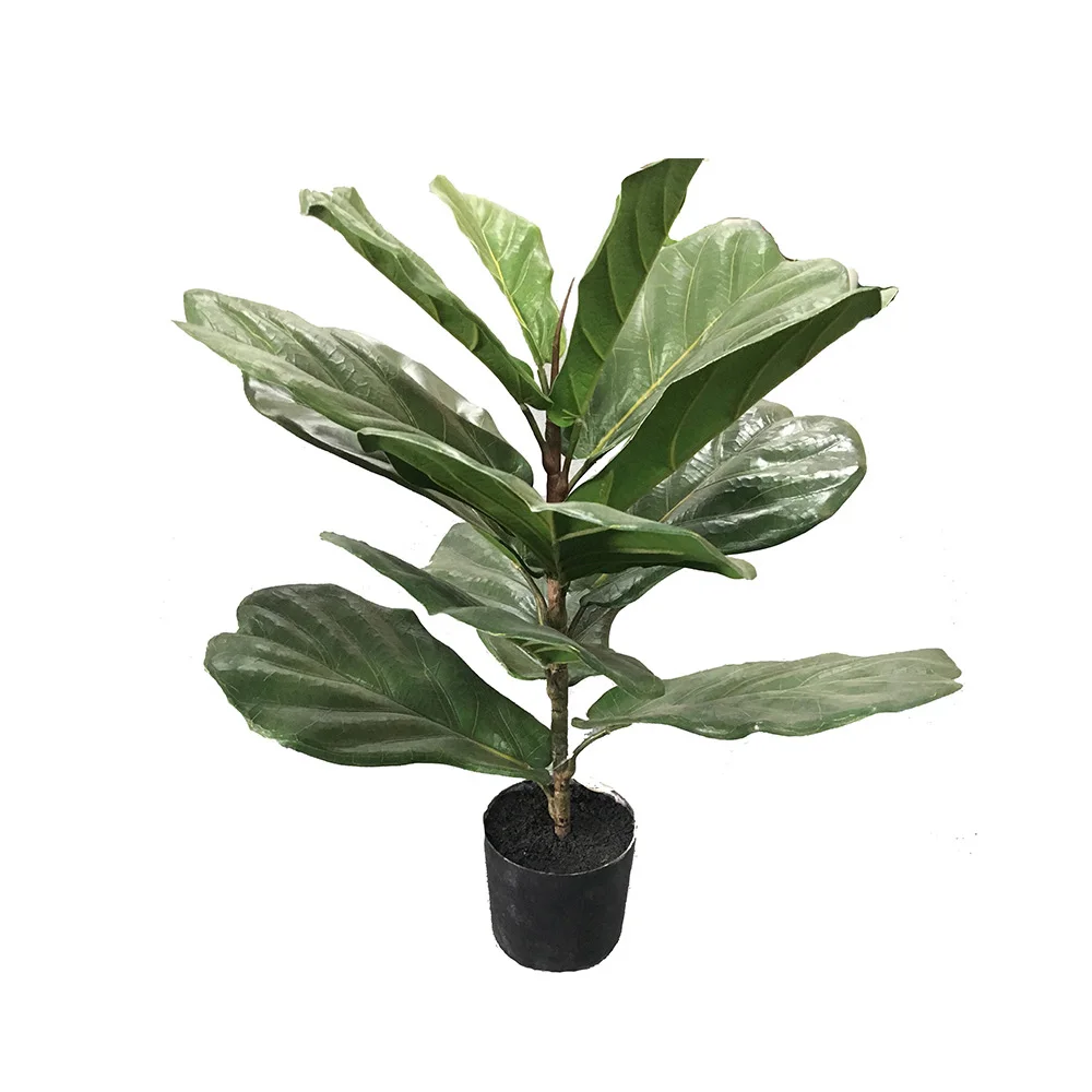 13 Leaves And 26 Leaves Artificial Ficus Pandurata Hance Tree Floor ...