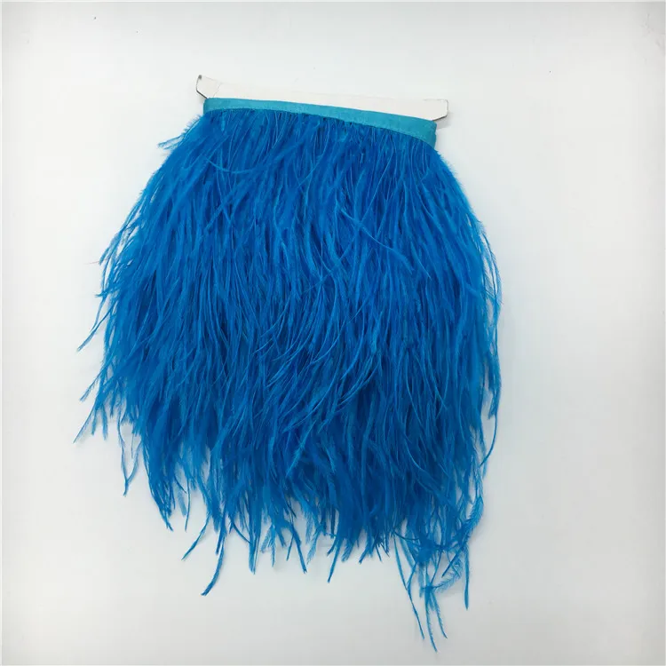 blue feather trim (5).jpg