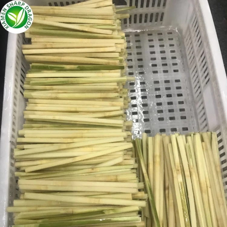 fresh sweet sugarcane 1/8 cutting for foodservice