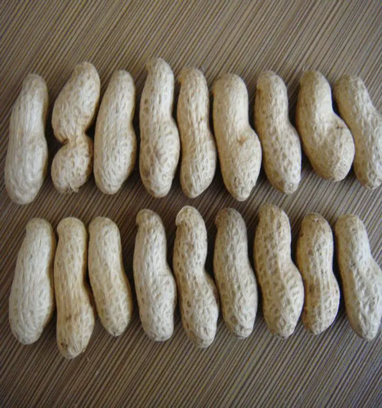Raw Green Peanuts For Sale Buy Raw Green Peanuts For Sale,Raw Peanut