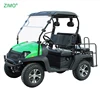 2019 4KW EEC Approved Used Small 2 Seater Buggy Mini Prices Electric Cheap Adult Go Cart