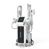 CE/FDA approved safety body slimming weight loss body shaping cryolipo ice iv pro