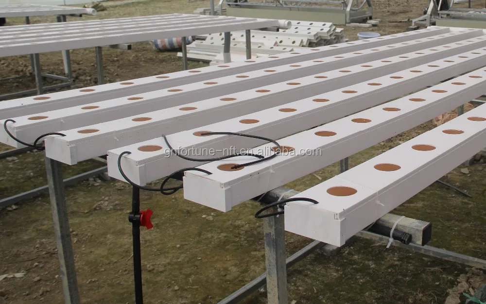 Lettuce Pvc Pipe Agriculture Greenhouse Vegetable Seed Planting