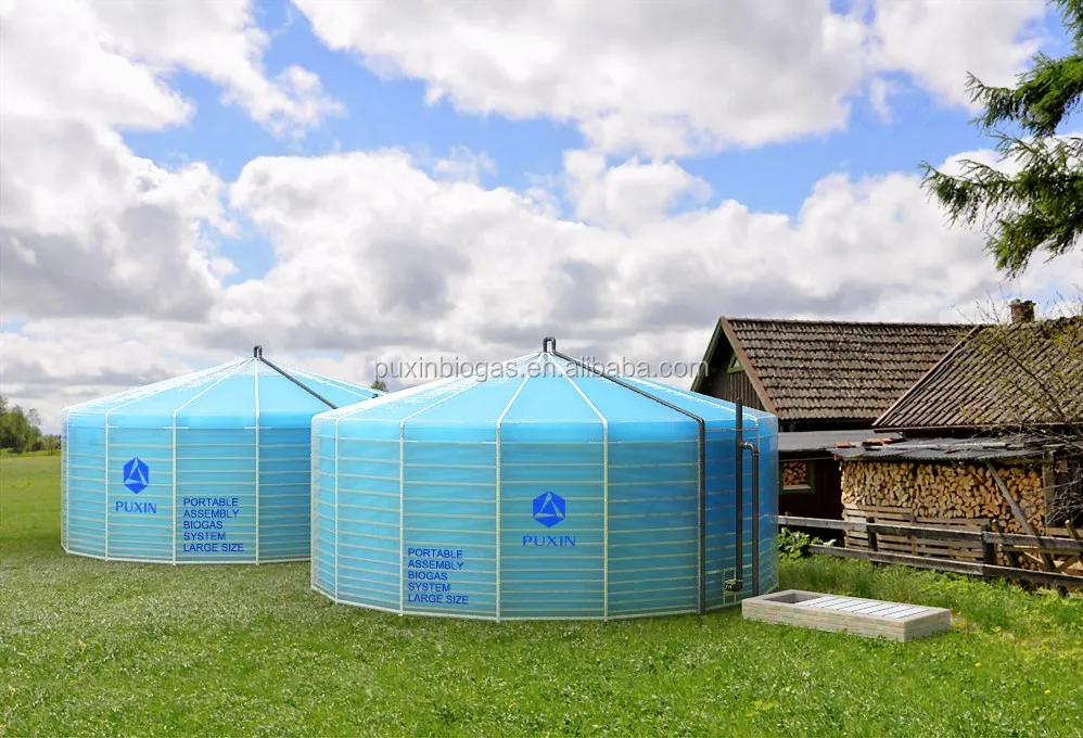 50m3 PUXIN biogas plant