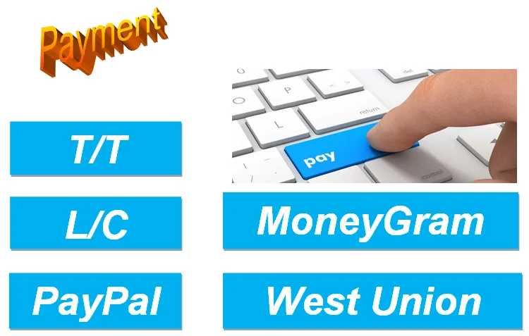 payment
