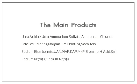Main Products.png
